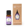 Tinh dầu Sunflower Hoa oải Hương (Lavender essential oil)