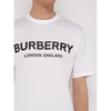 ÁO PHÔNG BURBERRY LETCHFORD LOGO PRINTED