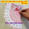 Số Cực Đẹp 77777777- Tiền hình con Mèo 100 Macao lì xì tết, giá tốt, kèm bao lì xì tết, Siêu Rẻ