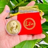 Thỏi Rắn Mạ Vàng 24k + túi Lộc Phúc