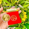 Thỏi Rắn Mạ Vàng 24k + túi Lộc Phúc
