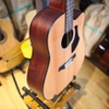 dan-guitar-acoustic-rosen-g15-plus-2023