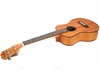 dan-ukulele-music-mgvd-full-go-mahogany-vinaguitar-phan-phoi-chinh-hang