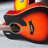 dan-guitar-acoustic-rosen-g12-vinaguitar-phan-phoi-chinh-hang