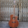 dan-guitar-acoustic-vg-mg5-full-go-mahoganydan-guitar-classic-vg-csp-vinaguitar-