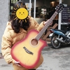 dan-guitar-acoustic-tr-105-vinaguitar-phan-phoi-chinh-hang