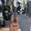 dan-ukulele-concert-tenor-kaysen-vinaguitar-phan-phoi-chinh-hang