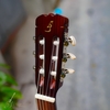 dan-guitar-classic-ba-don-c100j-vinaguitar-phan-phoi-chinh-hang