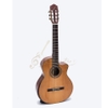 dan-guitar-classic-ba-don-c450j-tang-12-phu-kien-va-bao-hanh-2-nam
