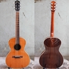 dan-guitar-acoustic-parlor-3-4-vg-ac