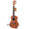 dan-ukulele-concert-music-mg-chi-lo-full-go-mahogany-vinaguitar-phan-phoi-chinh-