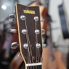 dan-guitar-acoustic-yamaha-fg251b-tang-12-phu-kien-va-bao-hanh-2-nam-msa1