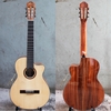 dan-guitar-acoustic-vg-d1