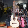 dan-guitar-acoustic-vg-d1