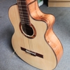 dan-guitar-acoustic-vg-d1