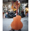 dan-guitar-acoustic-vg-mg6-mahogany