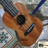 dan-ukulele-concert-vinaguitar-vu-cac-ma