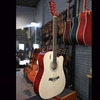 dan-guitar-acoustic-rosen-r135-chinh-hang