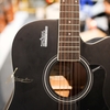 dan-guitar-acoustic-rosen-r135-chinh-hang