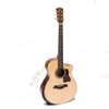 dan-guitar-acoustic-ba-don-t450-tang-12-phu-kien-va-bao-hanh-2-nam