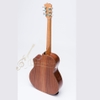 dan-guitar-acoustic-ba-don-t450-tang-12-phu-kien-va-bao-hanh-2-nam