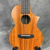 dan-ukulele-concert-enya-euc-x1c-dang-khuyet