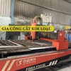 METAL CUTTING PROCESSING - USING FIBER LASER TECHNOLOGY