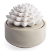 Lọ gốm trang trí tỏa hương - Succulent Porcelain Diffuser