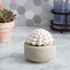 Lọ gốm trang trí tỏa hương - Succulent Porcelain Diffuser