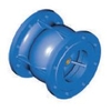 Axial type check valve