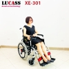 xe-lan-dien-lucass-xe-301