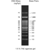 Thang DNA (DNA Ladders) Hãng Cleaver Scientific