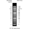 Thang DNA (DNA Ladders) Hãng Cleaver Scientific