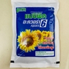 Hạt giống hướng dương Aguara 6 Thái Lan (Gói 1 kg)