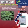 Hạt giống kale xoăn xanh Johnny's