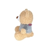 Gấu bông Gấu Teddy AIA