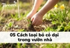 05 cách loại bỏ cỏ dại trong vườn nhà