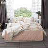 Bộ Drap Edena Cotton In - Ed 450