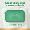 XÀ PHÒNG TẮM NGUYÊN BẢN DÀNH CHO NAM GIỚI - IRISH SPRING BAR SOAP, ORIGINAL CLEAN (4.5 OZ, 20 THANH)