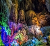 TOUR HUẾ - PHONG NHA 1 NGÀY