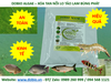 DOBIO ALGAE - Men vi sinh kiểm soát và diệt cắt tảo lam hiệu quả