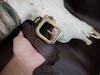 Thắt lưng da bò khoá đồng 3.4cm BM8 Manuk Leather