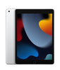 iPad (9th generation) 