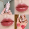 Lõi son thay thế Dior Addict Shine