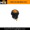 cong-tac-bap-benh-chong-nuoc-2-vi-tri-co-led-12v-20a