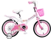 Xe đạp trẻ em Topkids Princess 16 Inch (4-7 tuổi)