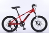 Xe đạp thể thao trẻ em Calli M310