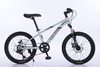 Xe đạp thể thao trẻ em Calli M310