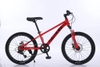 Xe đạp thể thao trẻ em Calli M320