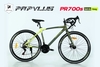 Xe đạp đua Road bike Papylus PR700s